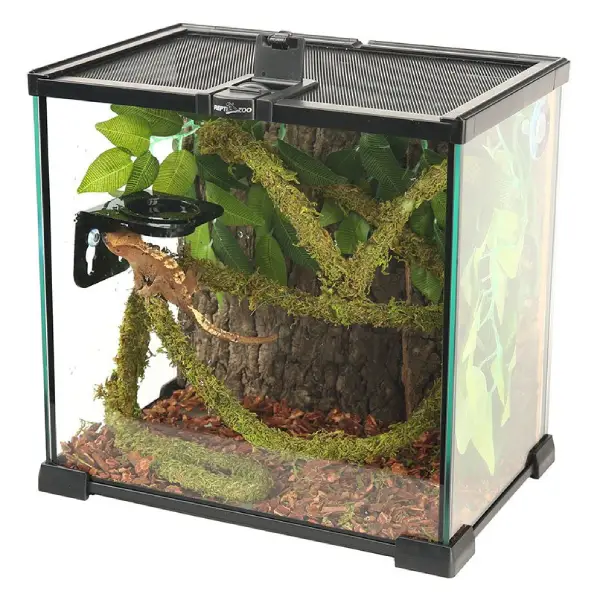 Liane Vine Moss Natural REPTIZOO - 200 x 2 cm - immagine 4