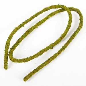 Liane Vine Moss Natural REPTIZOO - 200 x 2 cm