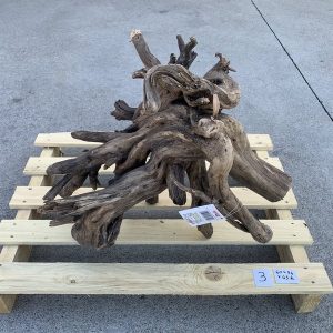 Radici ” MOORWOOD”