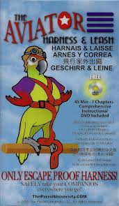 Pettorina pappagallo Aviator Large