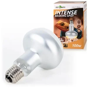 Lampe Basking Spot Intense REPTIZOO - 100W