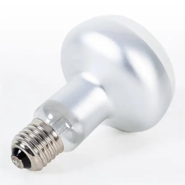 Lampe Basking Spot Intense REPTIZOO - 75W - immagine 4