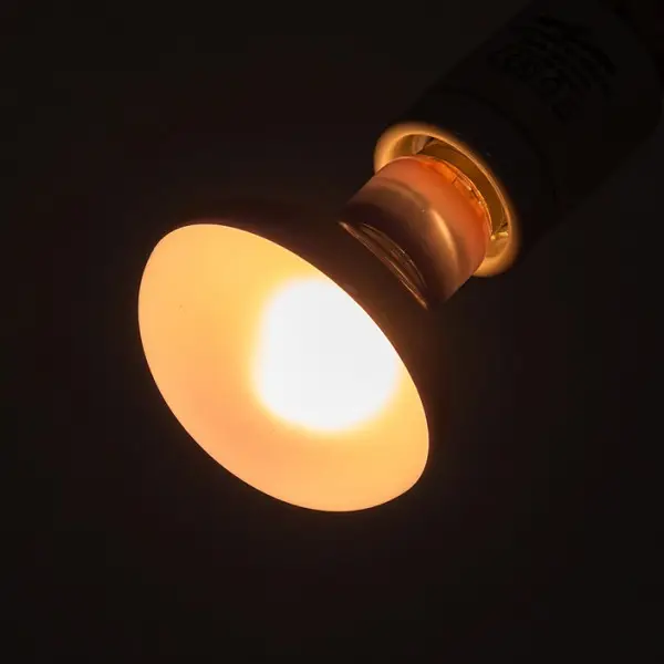 Lampe Basking Spot Daylight REPTIZOO - 50W - immagine 8