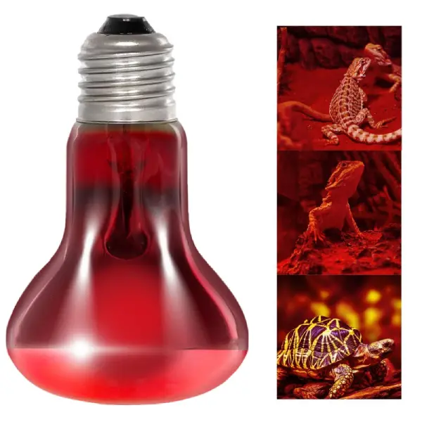 Infrared Basking Spot REPTIZOO - Lampe Chauffante Infrarouge 75W - immagine 6