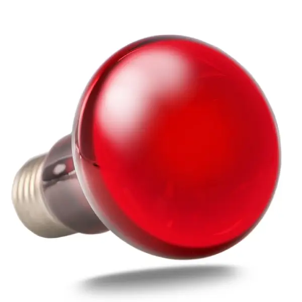 Infrared Basking Spot REPTIZOO - Lampe Chauffante Infrarouge 75W - immagine 4