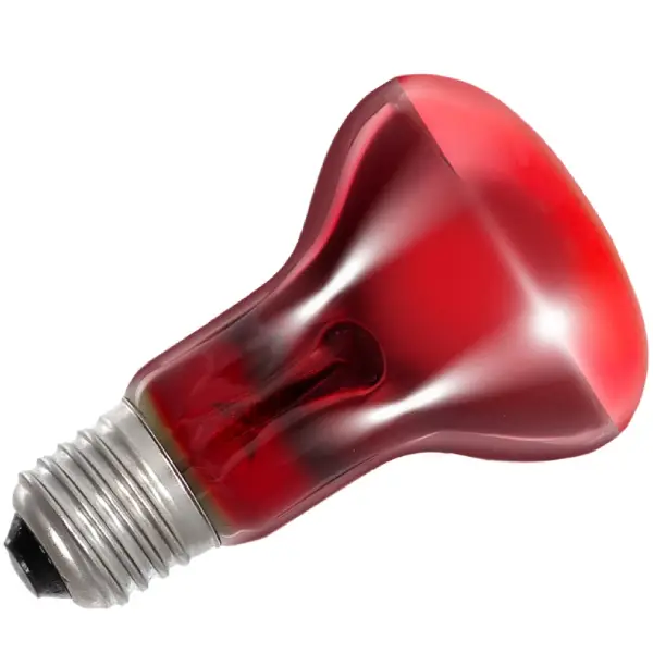 Infrared Basking Spot REPTIZOO - Lampe Chauffante Infrarouge 75W - immagine 5