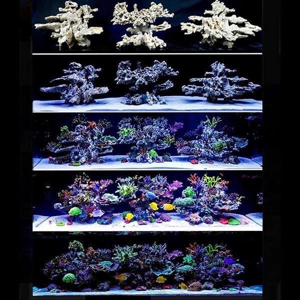 Roche Céramique Reef Plateau - 40 x 30 cm ARKA - immagine 3