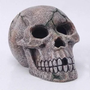 Tête de Mort - 15 cm