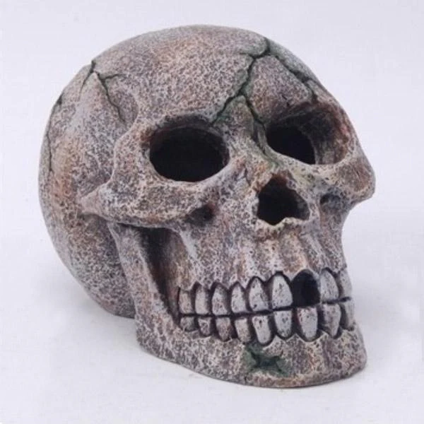 Tête de Mort - 15 cm - immagine 2