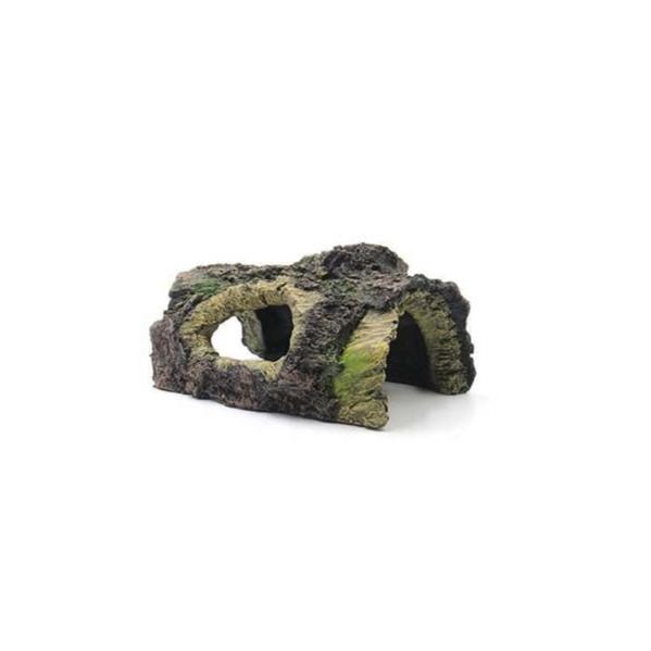 Souche SCALARE - 14,5 cm - immagine 2