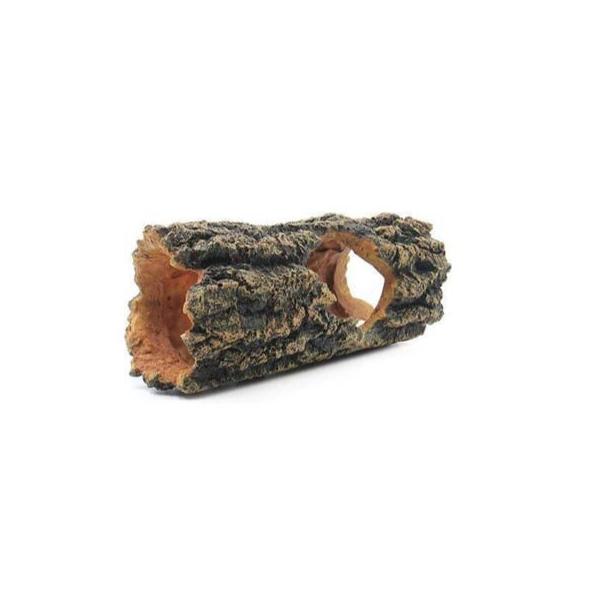 Souche SCALARE - 21 cm - immagine 2