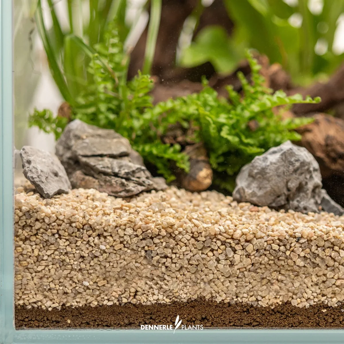Dennerle Substrate 1 L – Fondo nutritivo per piante acquario effetto prolungato - immagine 4