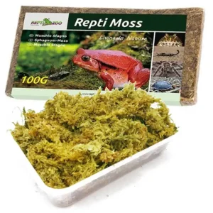 Substrat Mousse Chile REPTIZOO - 100g