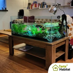Tarta Habitat Acquario per tartarughe d'acqua 100x50x40/50 h cm