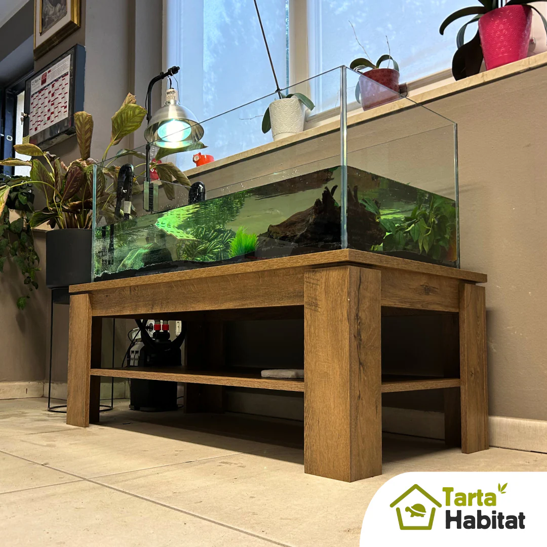 Tarta Habitat Acquario per tartarughe d'acqua 100x50x40/50 h cm - immagine 4