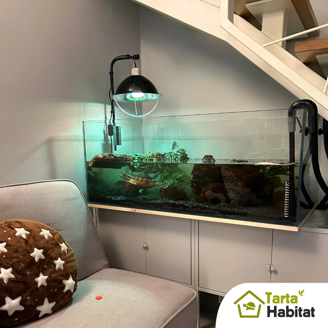 Tarta Habitat Acquario per tartarughe d'acqua 100x50x40/50 h cm - immagine 5