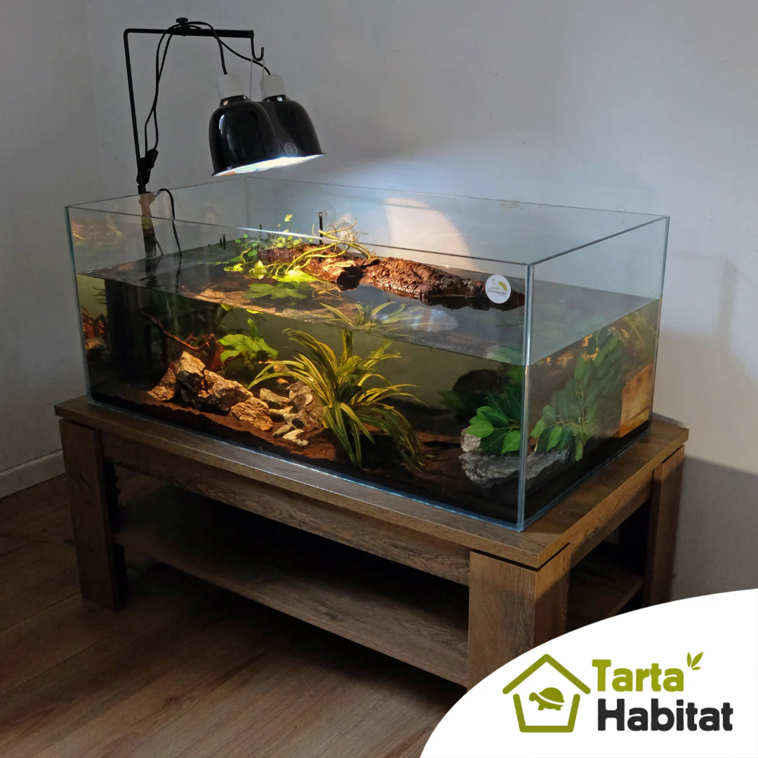 Tarta Habitat Acquario per tartarughe d'acqua 100x50x40/50 h cm - immagine 3