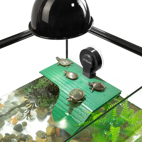 Terrasse Tortue REPTIZOO - 19 cm - immagine 3