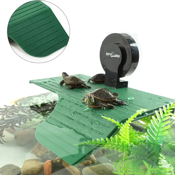 Terrasse Tortue REPTIZOO - 19 cm - immagine 9