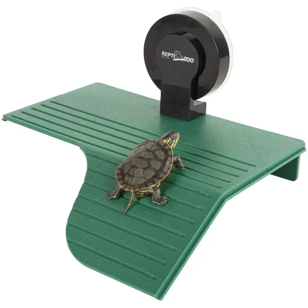 Terrasse Tortue REPTIZOO - 19 cm - immagine 2