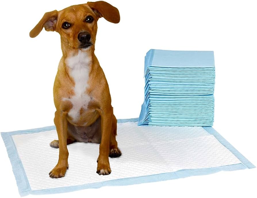 TAPPETINI ASSORBENTI TRIXIE BENJY MIS 60X60 CONFEZ. 10PZ - immagine 2