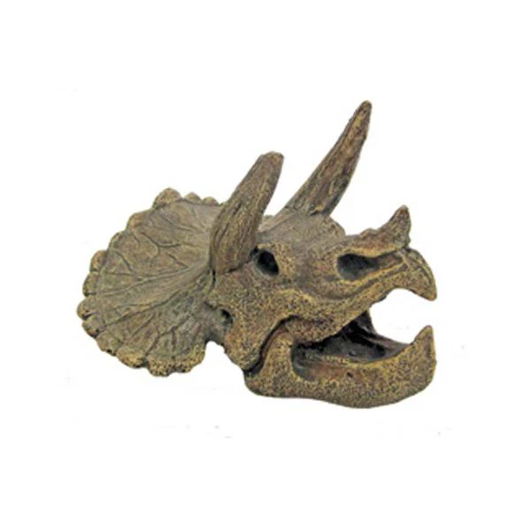 Crâne de Tricératops AMTRA - 15 cm - immagine 2