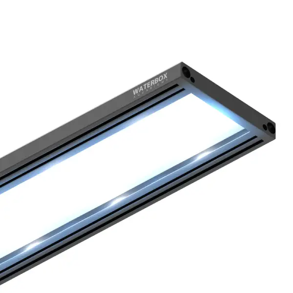 Aquarium Eden 30 FLED Aspen WATERBOX - 110 L - immagine 9