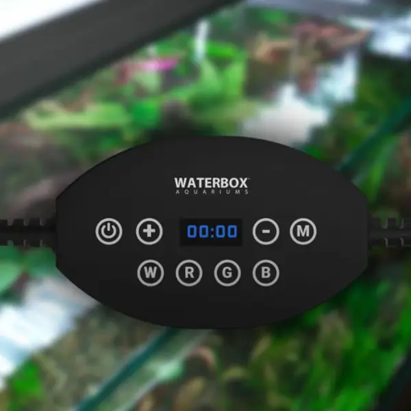 Aquarium Eden X 60 FLED Noir WATERBOX - 225 L - immagine 8