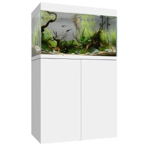 Aquarium Eden X 60 FLED Blanc WATERBOX - 225 L