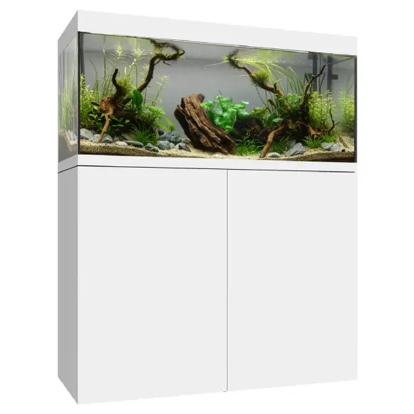Aquarium Eden X 80 Blanc WATERBOX - 300 L - immagine 2