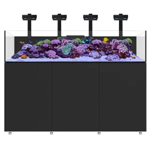 Infinia Frag 175.6 Noir WATERBOX - Aquarium Récifal 446 L