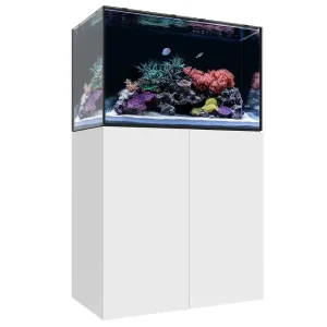 Marine EX 90.3 Blanc WATERBOX - Aquarium Marin 224L