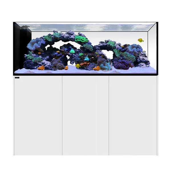 Peninsula 6025 Blanc WATERBOX - Aquarium Marin 527 L - immagine 2